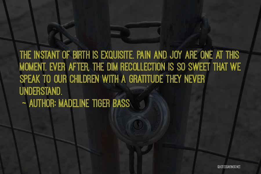 Joy After Pain Quotes By Madeline Tiger Bass