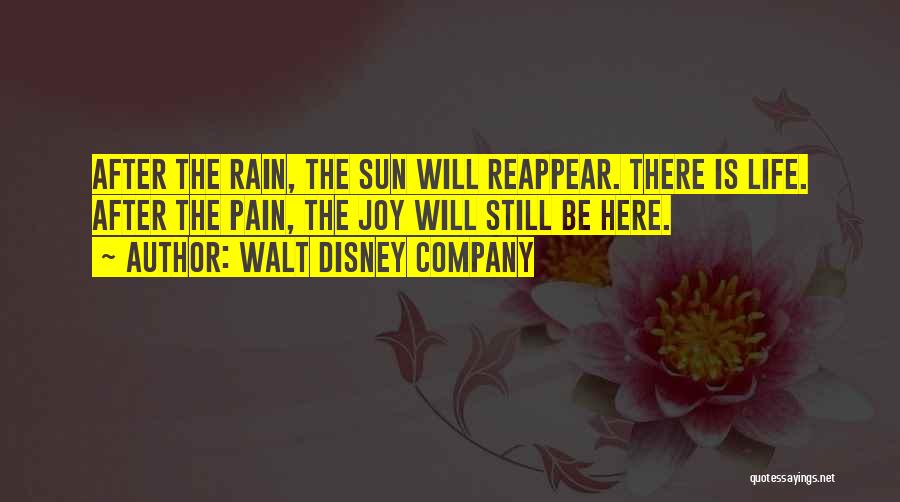 Joy After Pain Quotes By Walt Disney Company