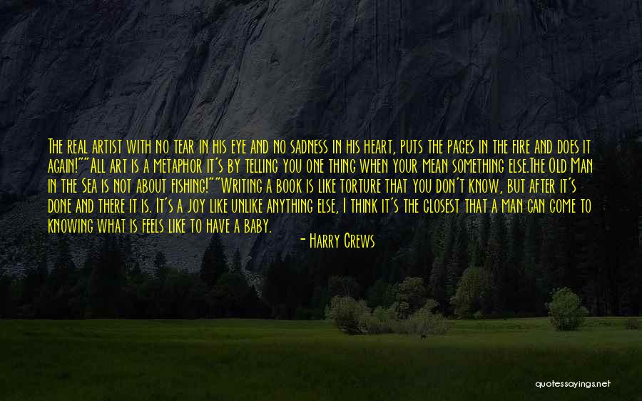 Joy After Sadness Quotes By Harry Crews