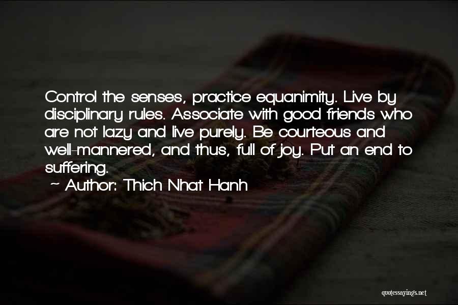 Joy And Friends Quotes By Thich Nhat Hanh