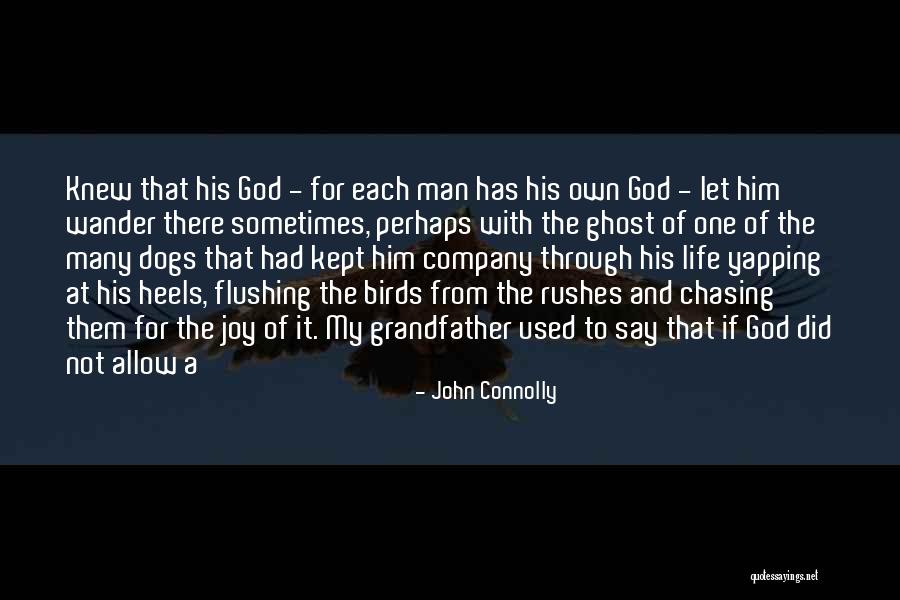 Joy And God Quotes By John Connolly