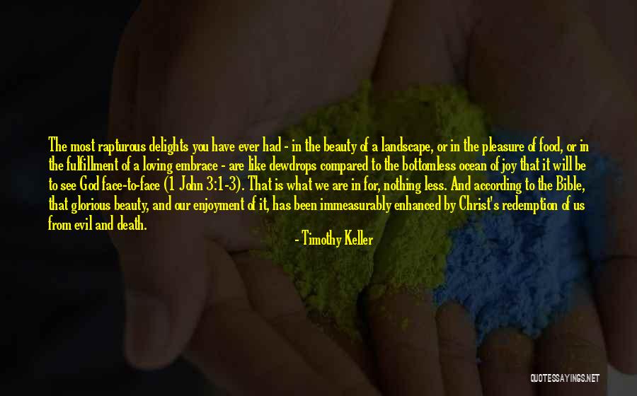 Joy And God Quotes By Timothy Keller Joy And God Quotes By Timothy Keller