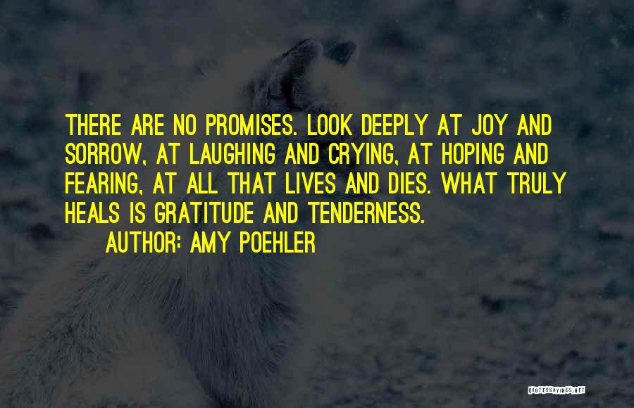 Joy And Gratitude Quotes By Amy Poehler