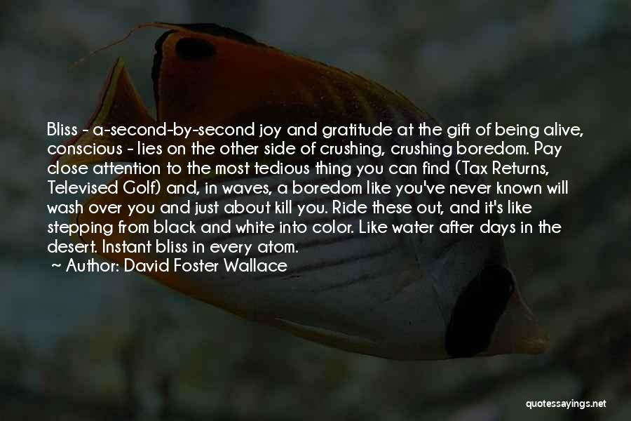 Joy And Gratitude Quotes By David Foster Wallace