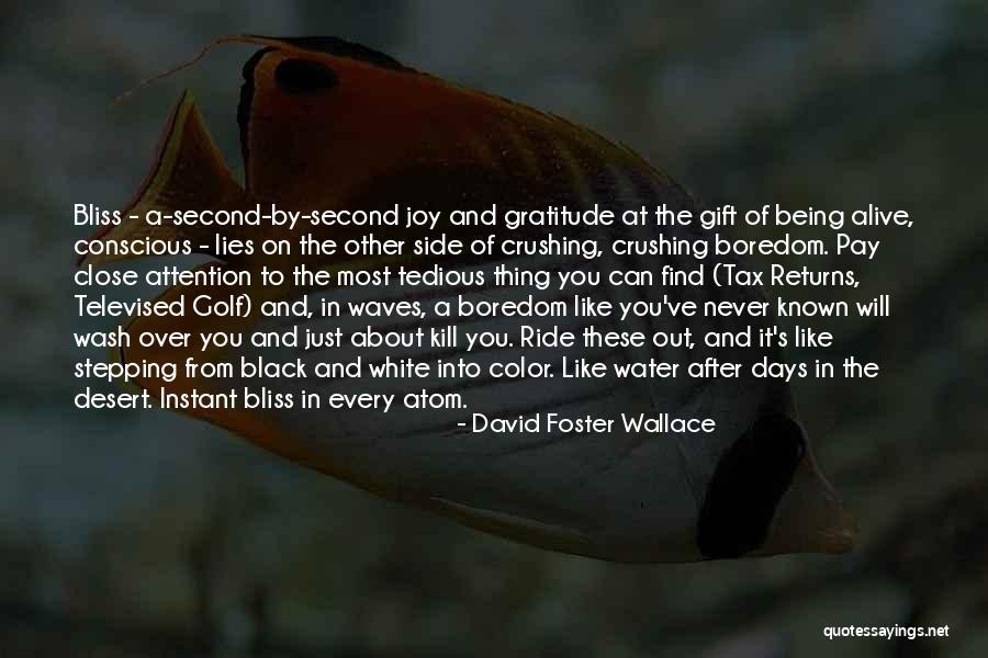 Joy And Gratitude Quotes By David Foster Wallace