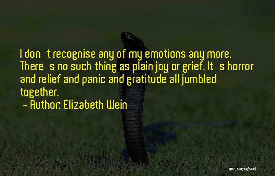 Joy And Gratitude Quotes By Elizabeth Wein