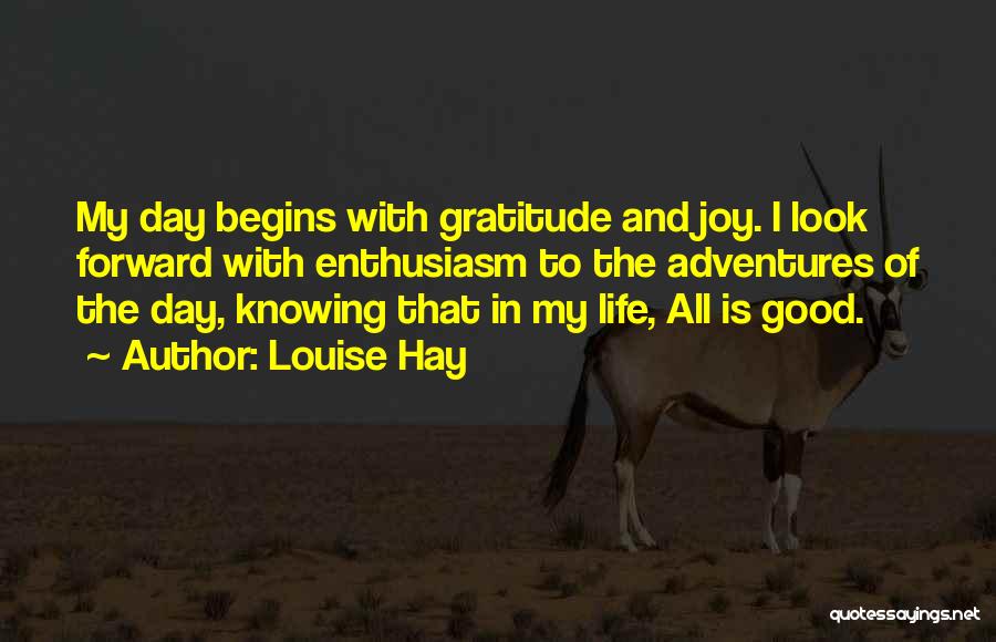 Joy And Gratitude Quotes By Louise Hay