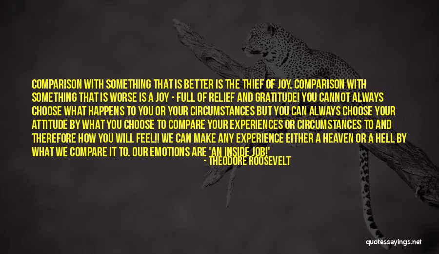 Joy And Gratitude Quotes By Theodore Roosevelt Joy And Gratitude Quotes By Theodore Roosevelt