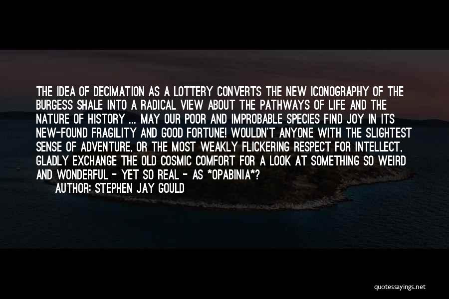 Joy And Nature Quotes By Stephen Jay Gould