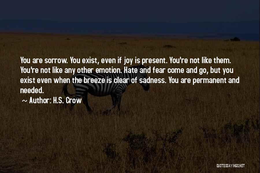 Joy And Sadness Quotes By H.S. Crow