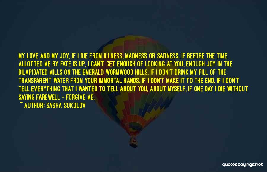 Joy And Sadness Quotes By Sasha Sokolov