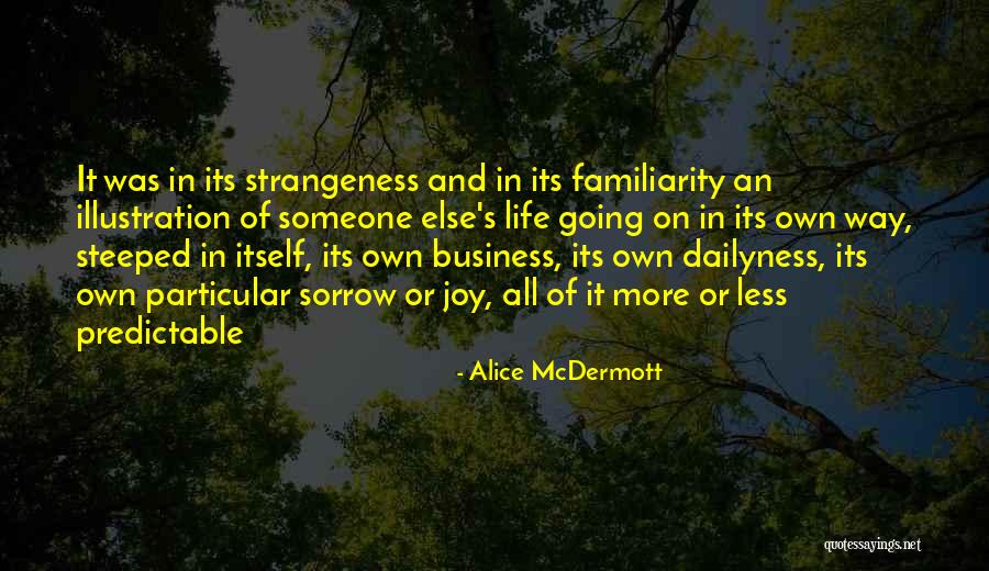 Joy And Sorrow Quotes By Alice McDermott