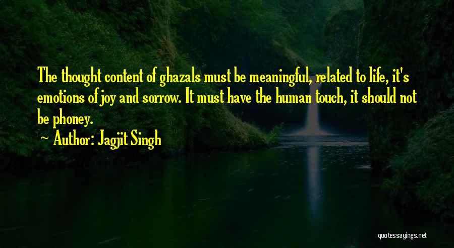 Joy And Sorrow Quotes By Jagjit Singh