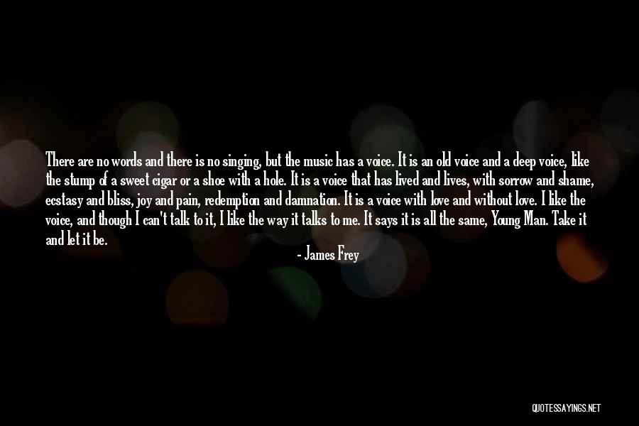 Joy And Sorrow Quotes By James Frey