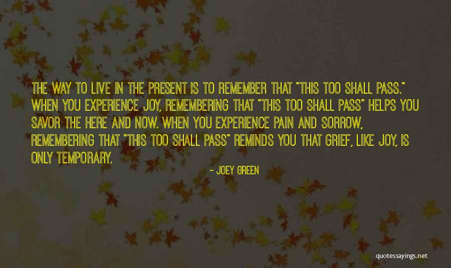 Joy And Sorrow Quotes By Joey Green