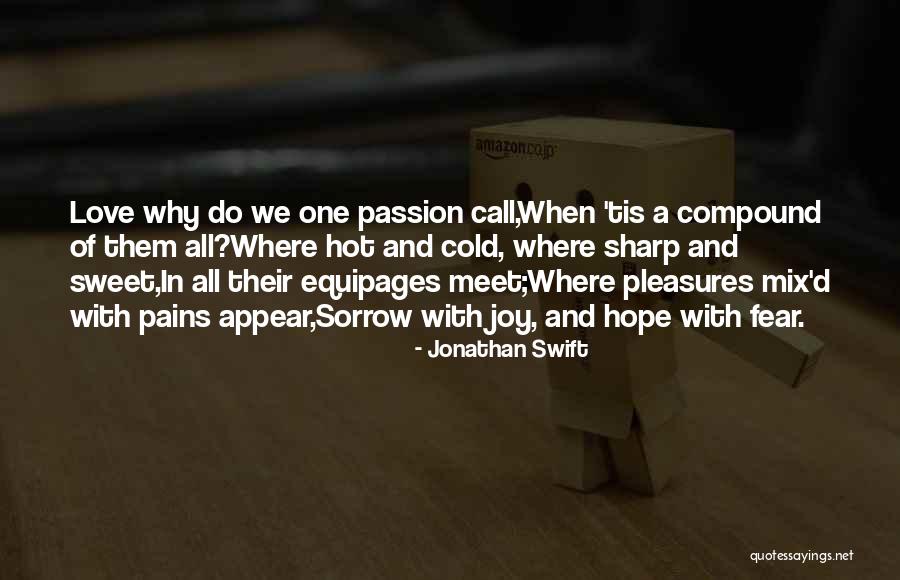 Joy And Sorrow Quotes By Jonathan Swift