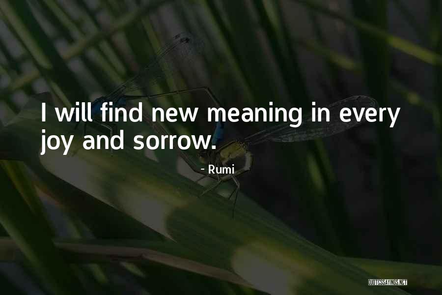 Joy And Sorrow Quotes By Rumi