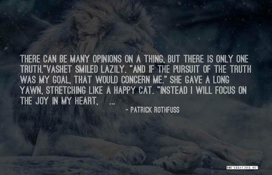Joy And Truth Quotes By Patrick Rothfuss Joy And Truth Quotes By Patrick Rothfuss