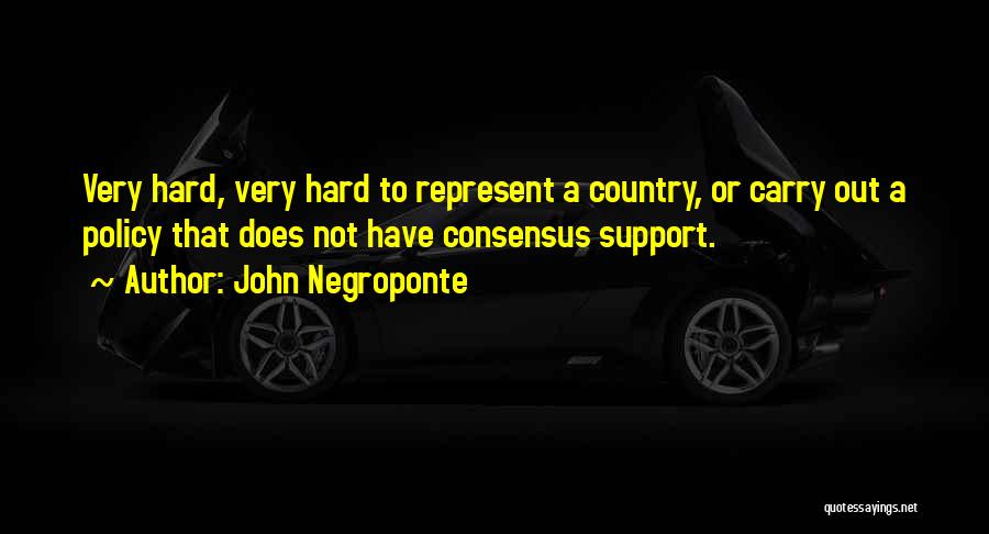 Joy Dawson Quotes By John Negroponte