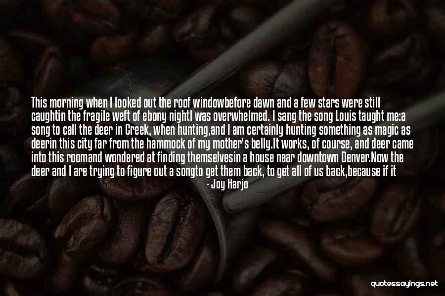 Joy Harjo Quotes 145854 Joy Harjo Quotes 145854