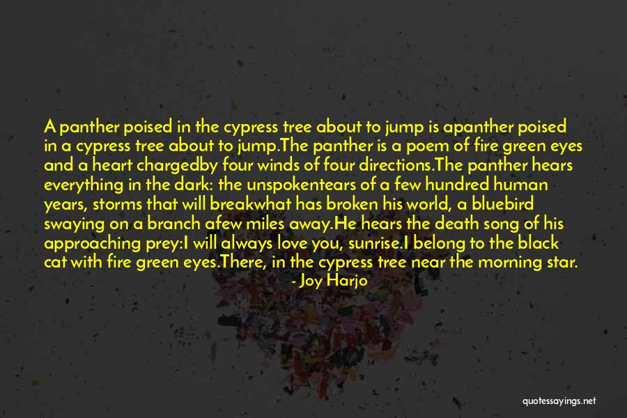 Joy Harjo Quotes 2080381 Joy Harjo Quotes 2080381