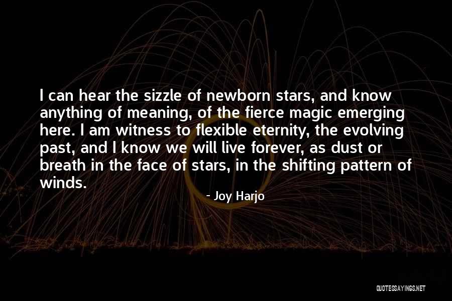 Joy Harjo Quotes 350492 Joy Harjo Quotes 350492