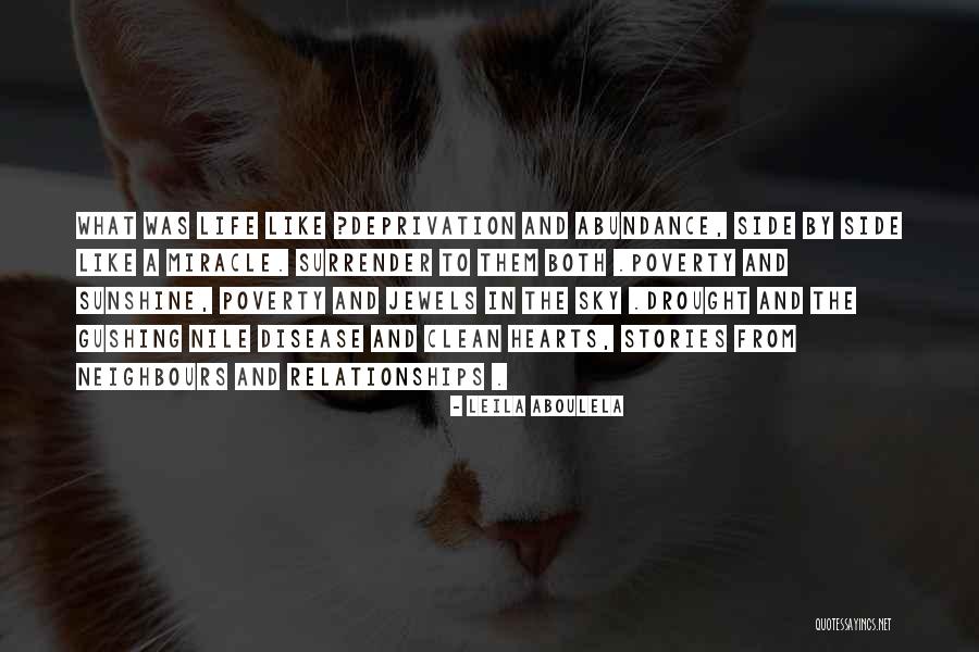 Joy In Abundance Quotes By Leila Aboulela Joy In Abundance Quotes By Leila Aboulela