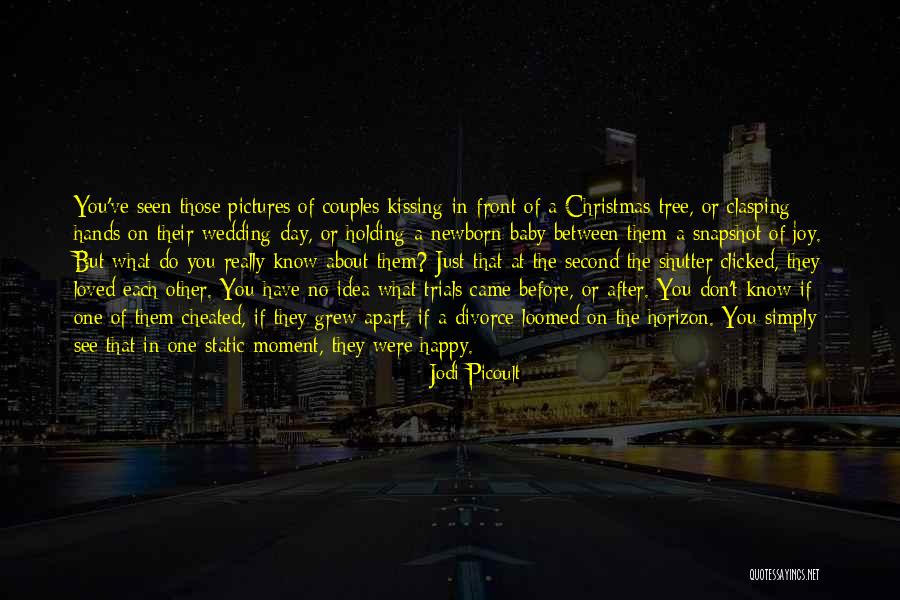 Joy In Christmas Quotes By Jodi Picoult