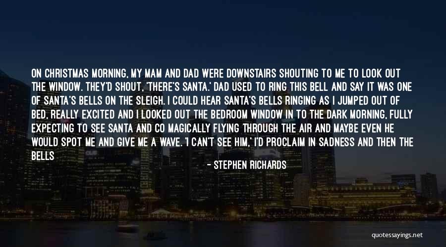 Joy In Christmas Quotes By Stephen Richards