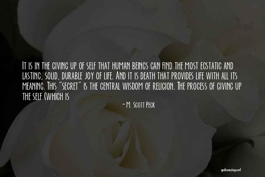 Joy In Giving Quotes By M. Scott Peck