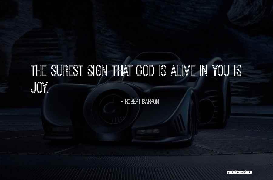 Joy In God Quotes By Robert Barron Joy In God Quotes By Robert Barron