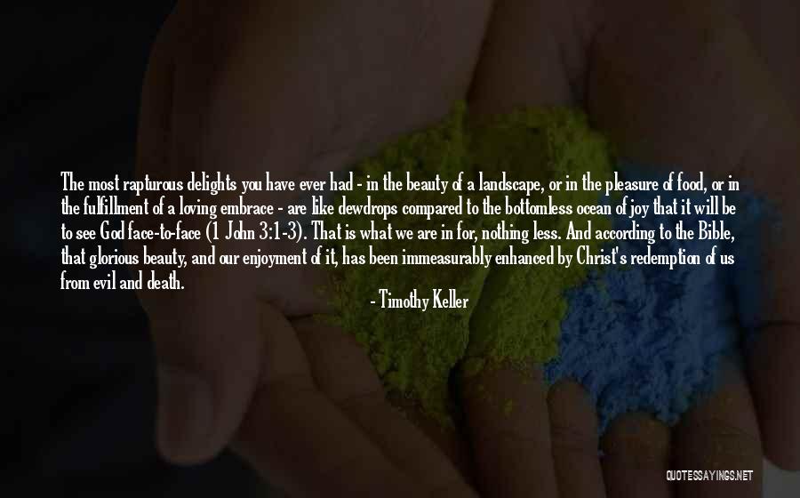 Joy In God Quotes By Timothy Keller Joy In God Quotes By Timothy Keller