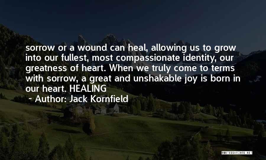 Joy In Heart Quotes By Jack Kornfield