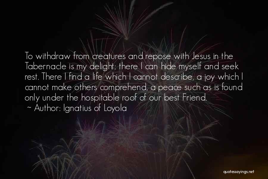 Joy In Jesus Quotes By Ignatius Of Loyola