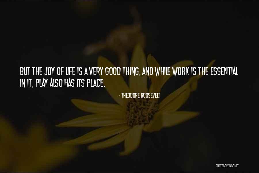 Joy In Life Quotes By Theodore Roosevelt Joy In Life Quotes By Theodore Roosevelt