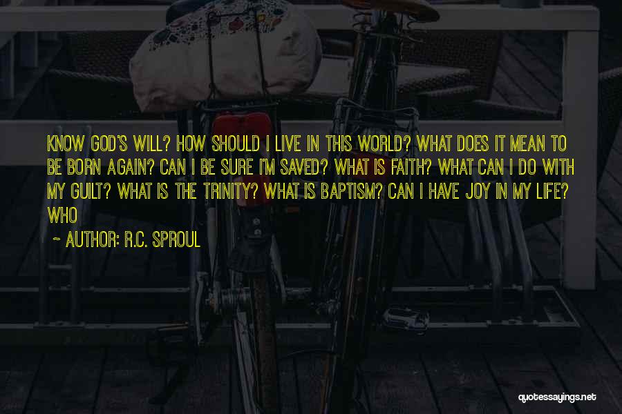 Joy In My Life Quotes By R.C. Sproul