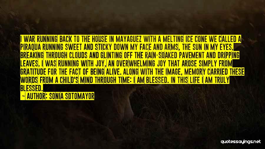 Joy In My Life Quotes By Sonia Sotomayor