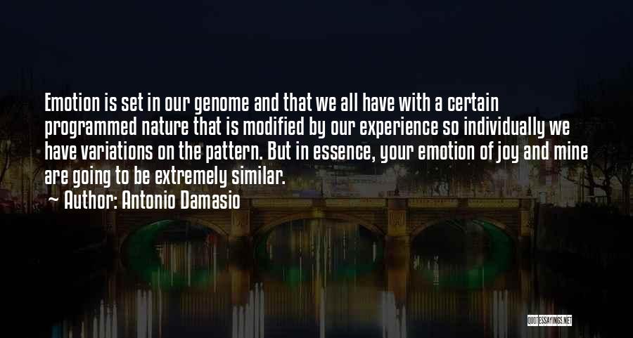 Joy In Nature Quotes By Antonio Damasio