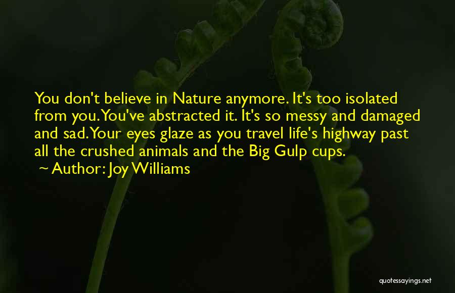 Joy In Nature Quotes By Joy Williams