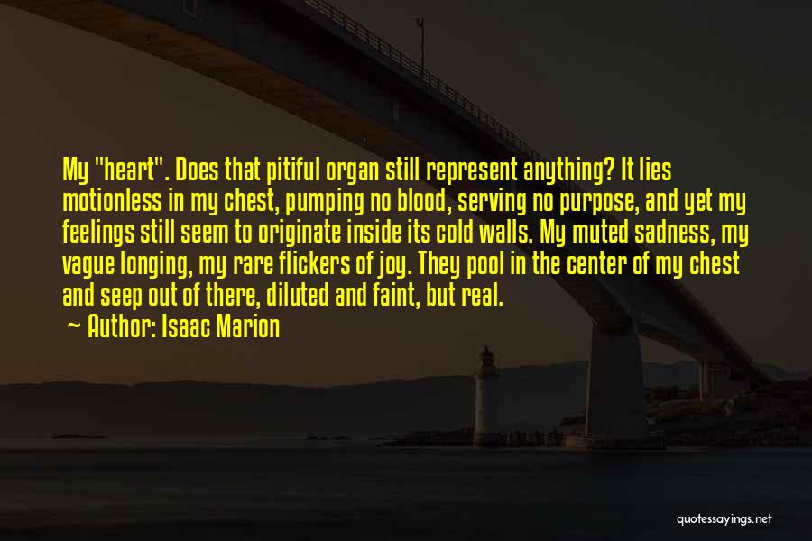Joy In Sadness Quotes By Isaac Marion
