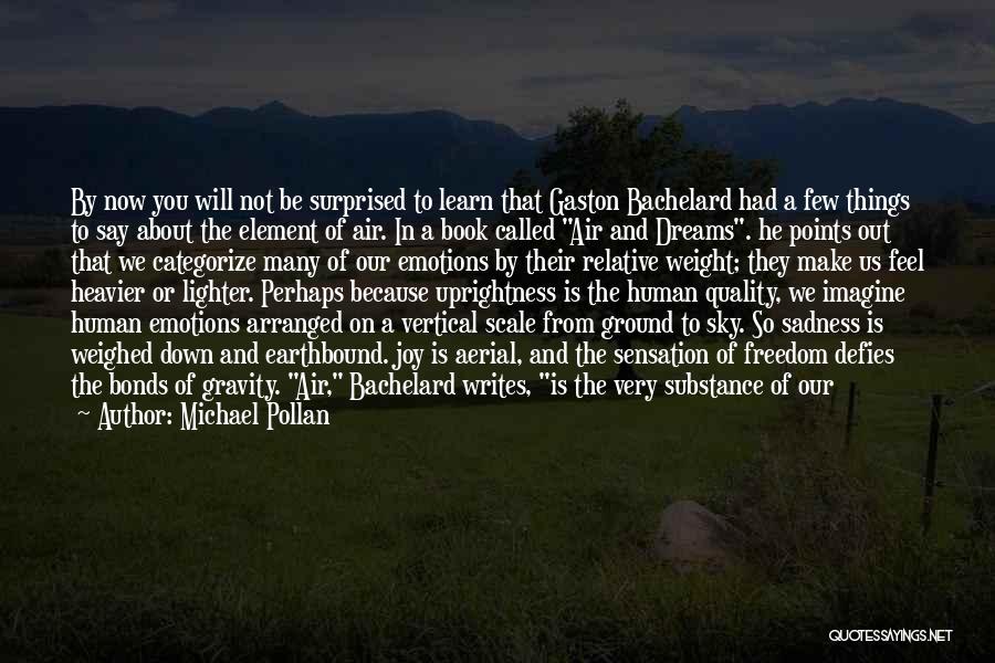 Joy In Sadness Quotes By Michael Pollan