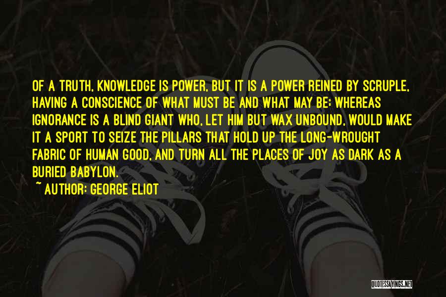 Joy In Sports Quotes By George Eliot
