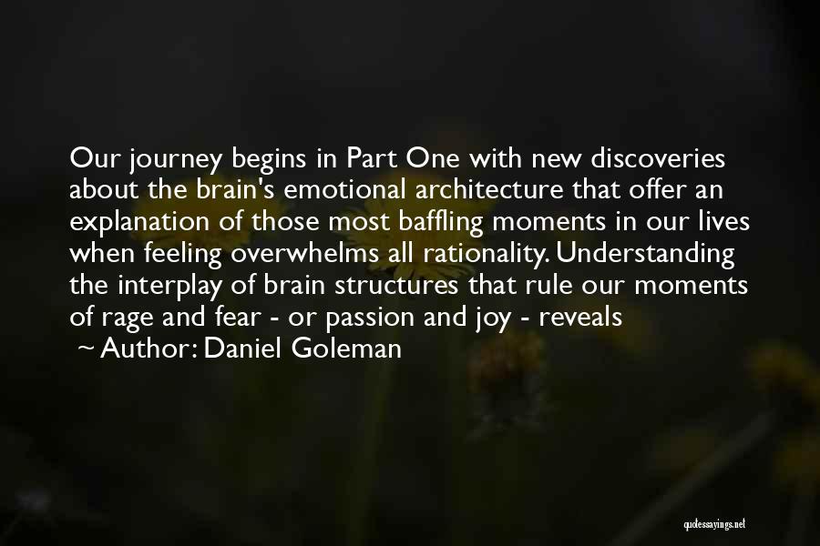 Joy In The Journey Quotes By Daniel Goleman