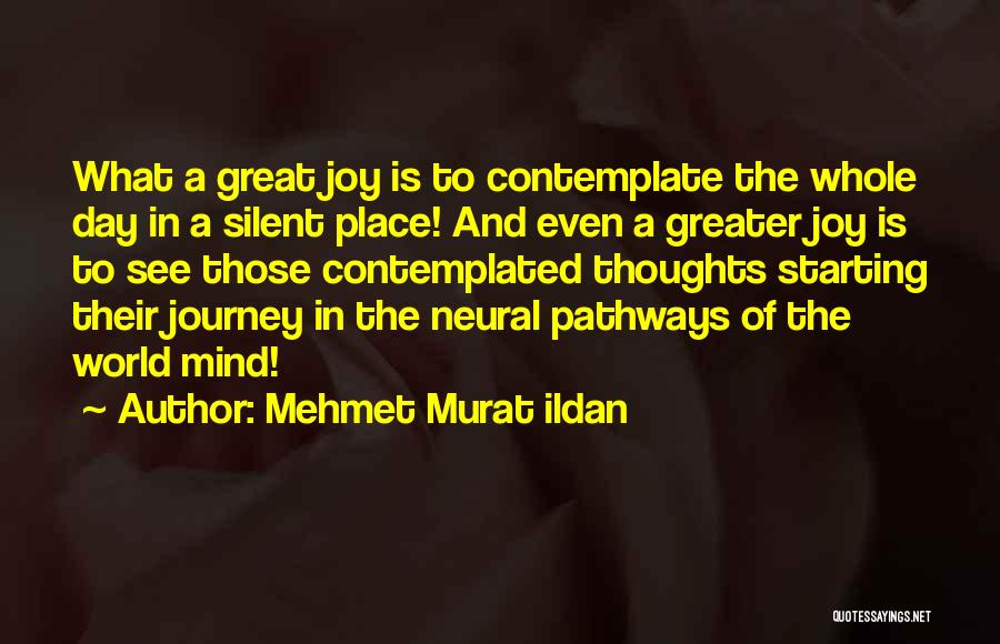 Joy In The Journey Quotes By Mehmet Murat Ildan