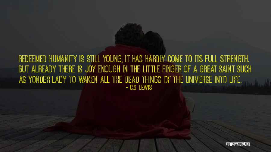 Joy In The Little Things Quotes By C.S. Lewis