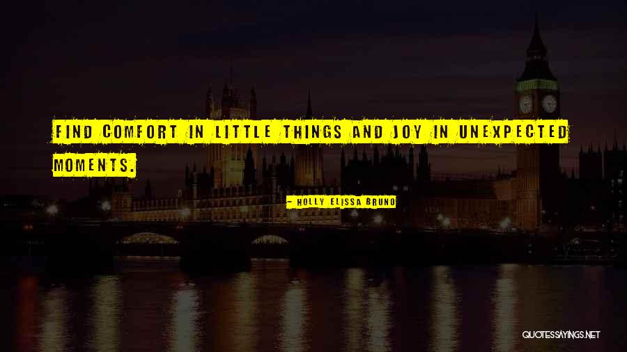 Joy In The Little Things Quotes By Holly Elissa Bruno