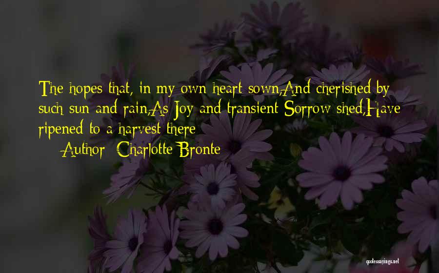 Joy In The Rain Quotes By Charlotte Bronte