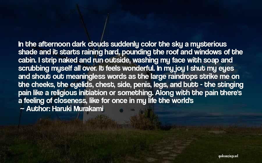 Joy In The Rain Quotes By Haruki Murakami