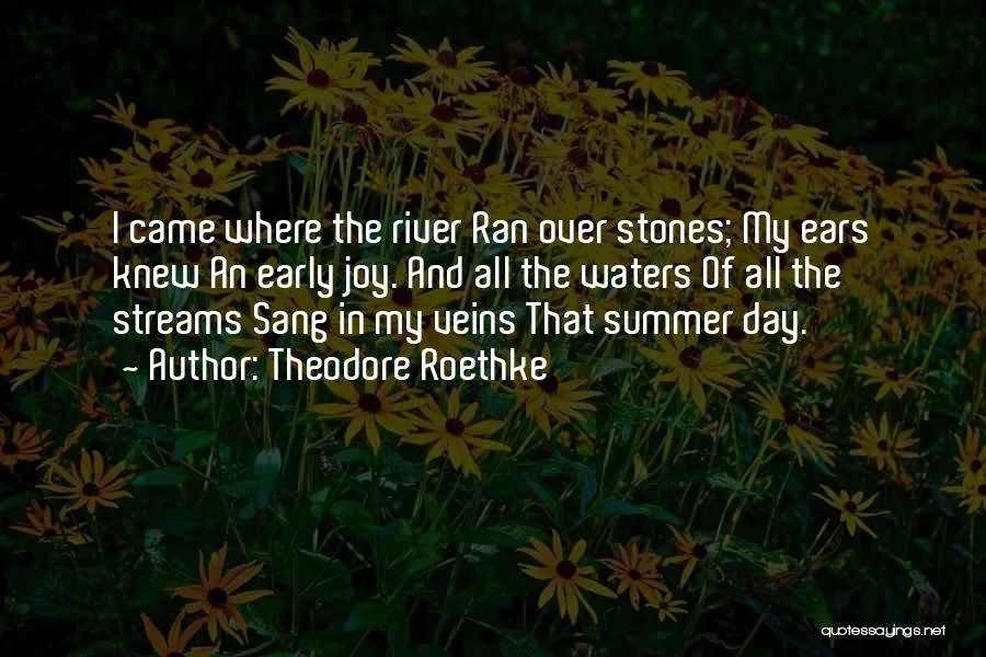 Joy In The Rain Quotes By Theodore Roethke