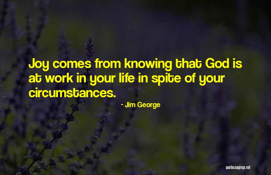 Joy In Your Work Quotes By Jim George